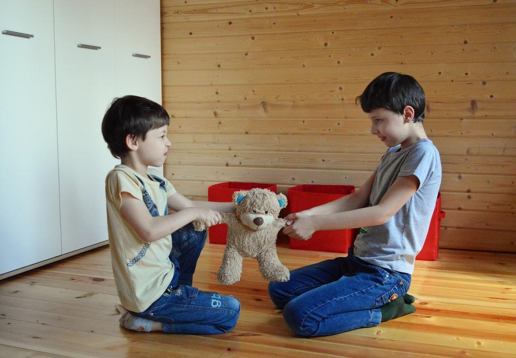 do-not-share-a-toy-5189298_1280.jpg