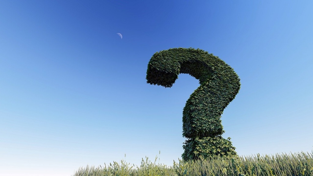 question-mark-3255118_1280.jpg